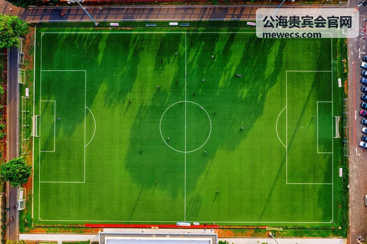公海贵宾会私人聚会场景